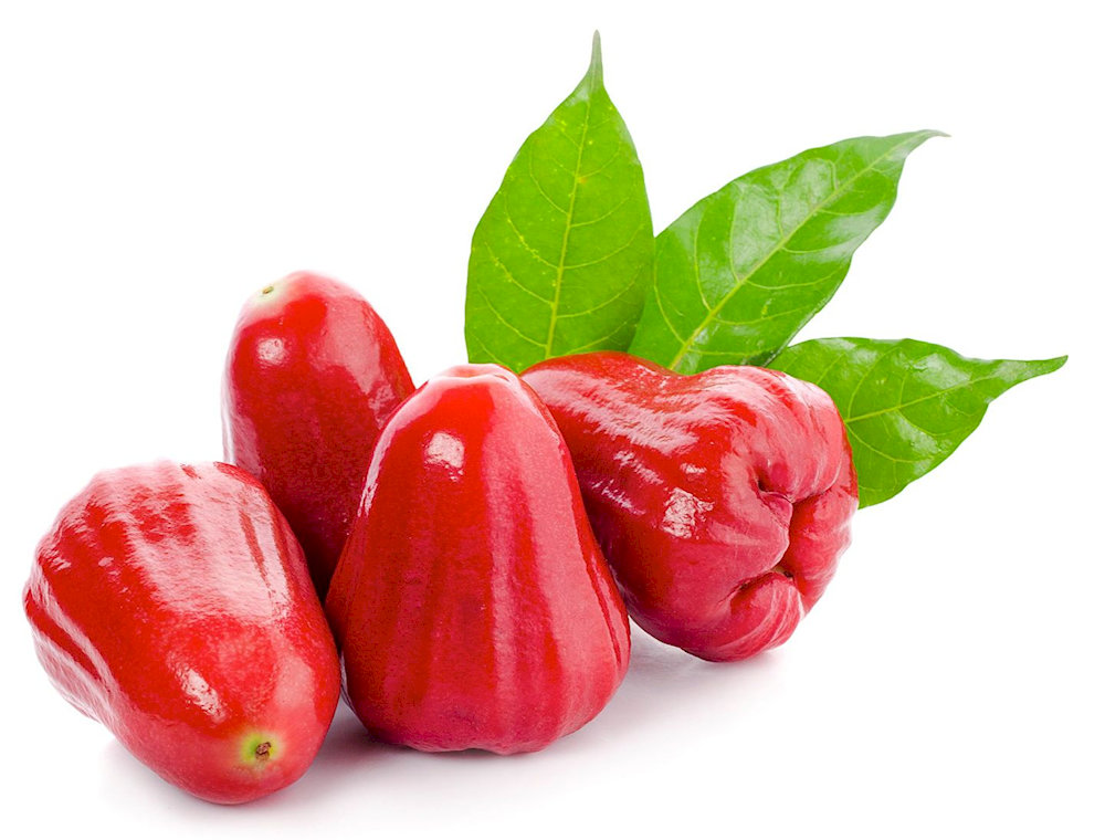 Rose apple can be sweet or sour, depending on the season 